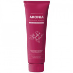  PEDISON Шампунь восстанавливающий с аронией institute-beaut aronia color protection shampoo, 100 мл