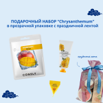  ПОДАРОЧНЫЙ НАБОР Chrysanthemum 540