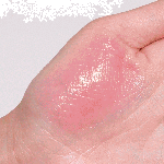  AMUSE Бальзам для губ 02 rose vegan green lip balm, 3,5 г