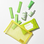  SUNGBOON Набор миниатюр для сужения пор editor green tomato travel kit,150 г